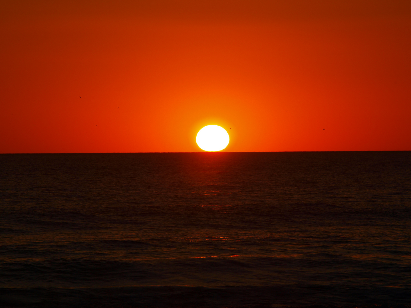 Sunset in Santa Monica Beach