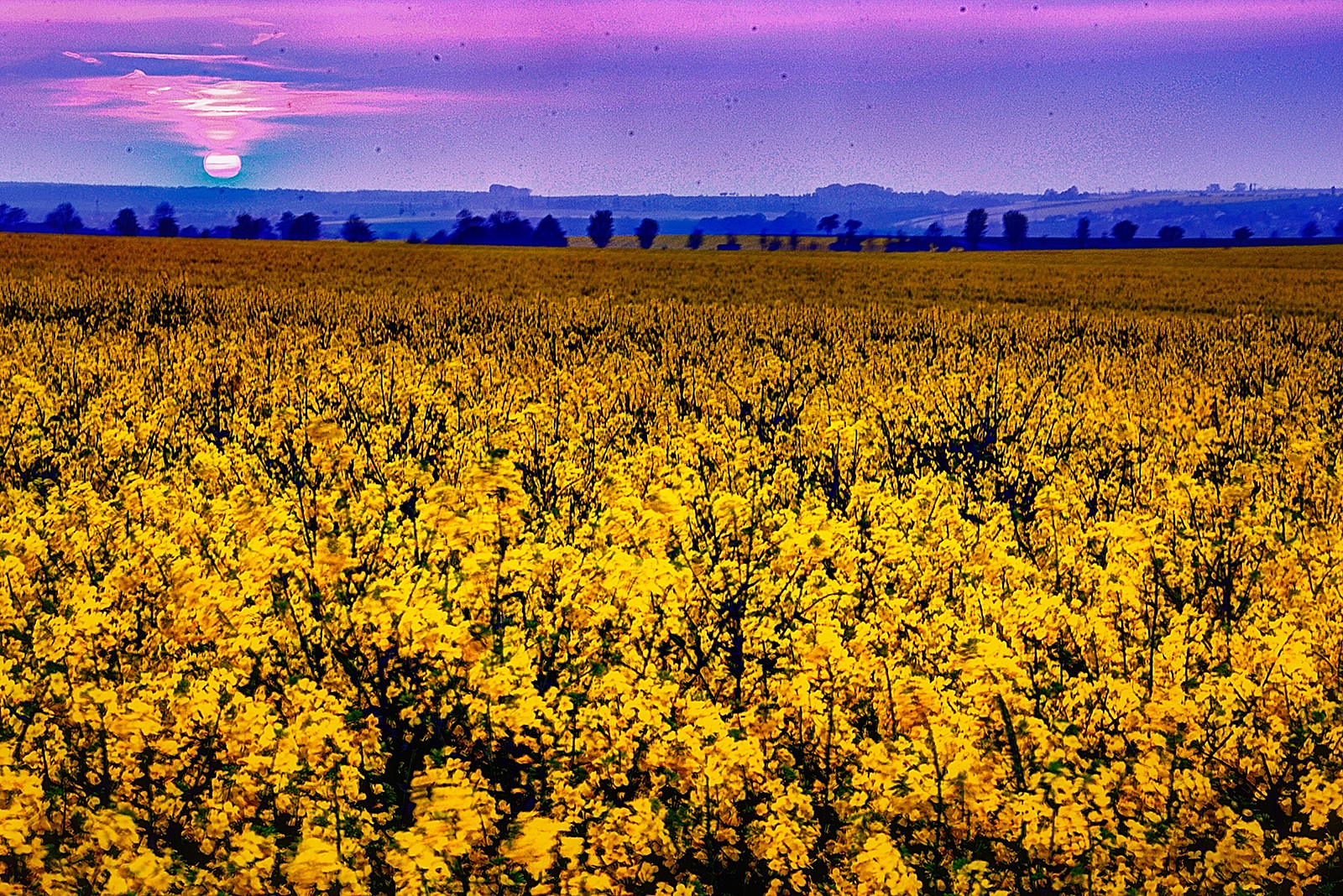 Sunset in Saxony