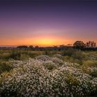 Sunset in Schleswig Holstein