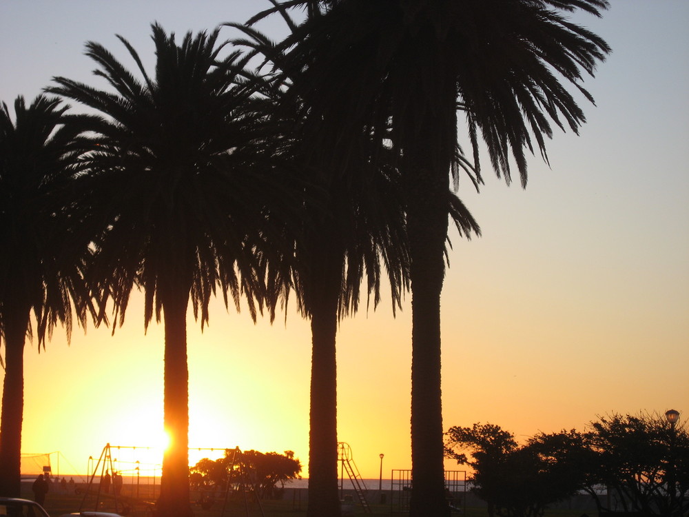 Sunset in Sea Point - Cape Town