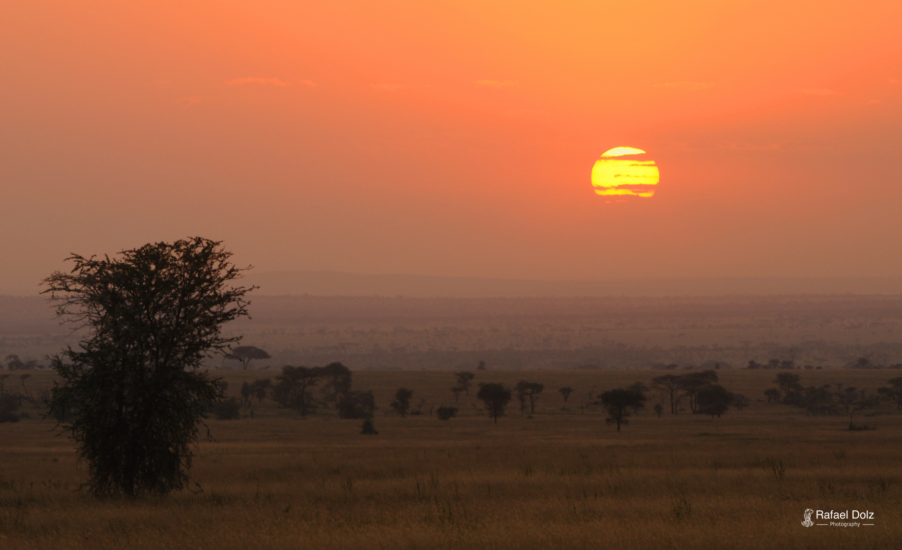 Sunset in Serengeti