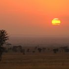 Sunset in Serengeti