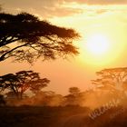 Sunset in Serengeti, Tanzania