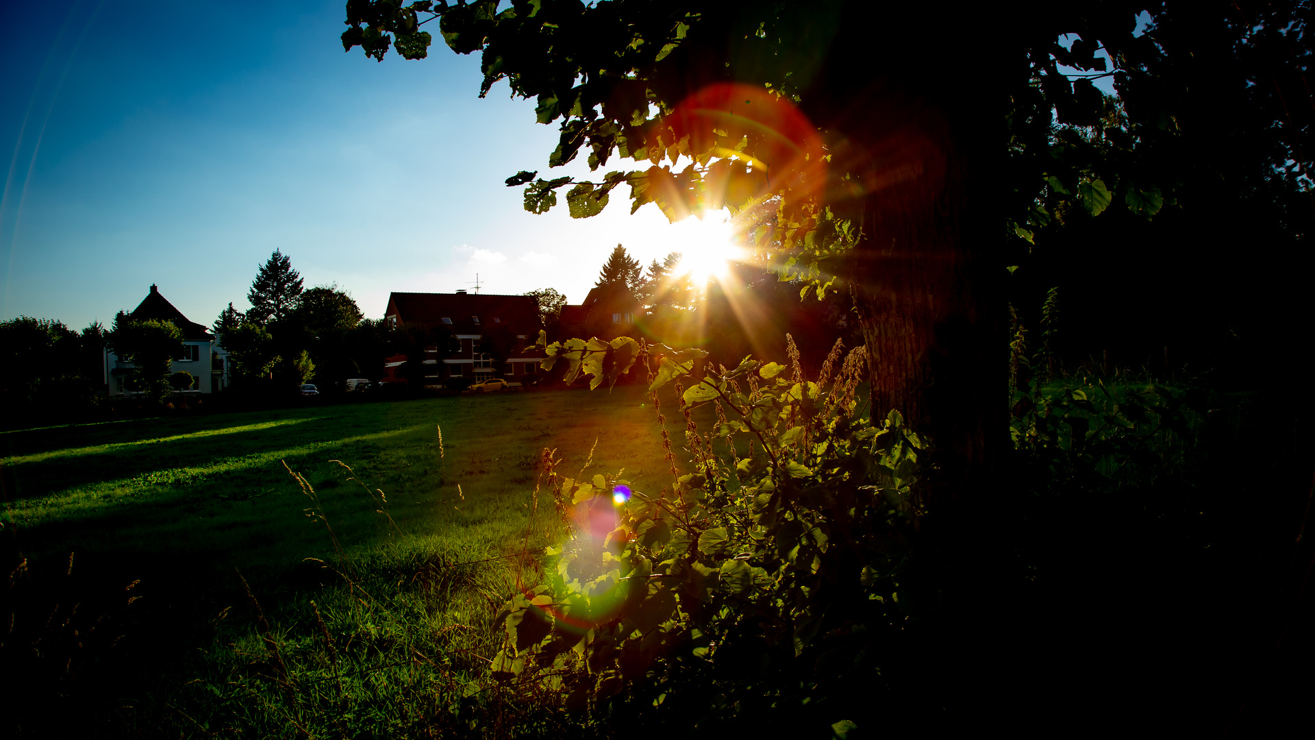 Sunset in Sürth