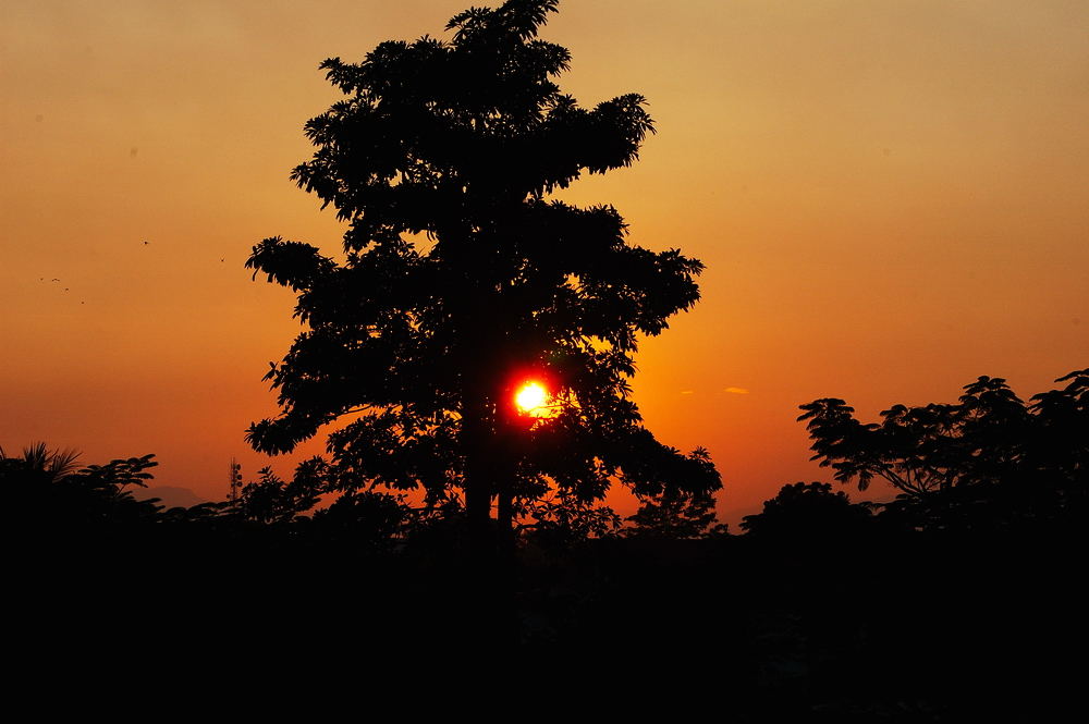 Sunset in Sukothai