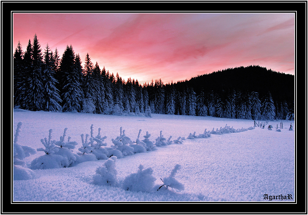 Sunset in Sumava mountains&south part of Czech Republic