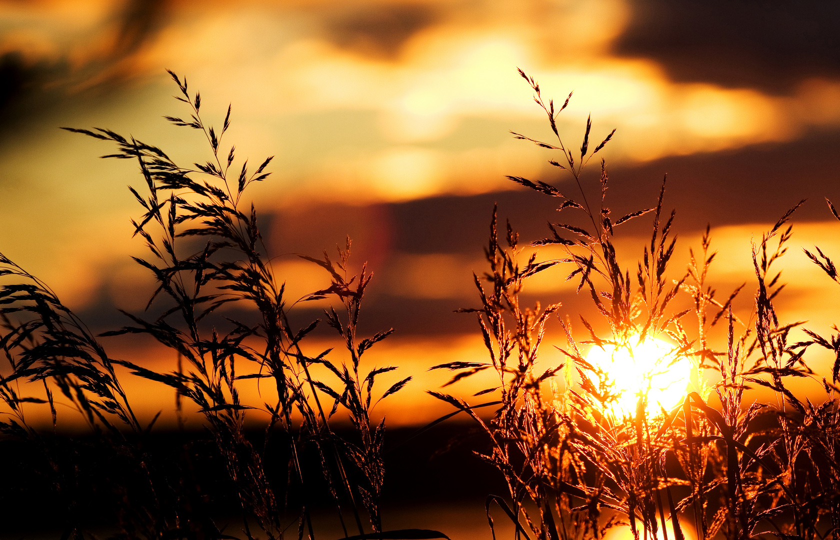 Sunset in Sweden