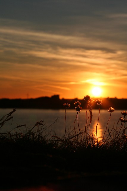 Sunset in Sweden