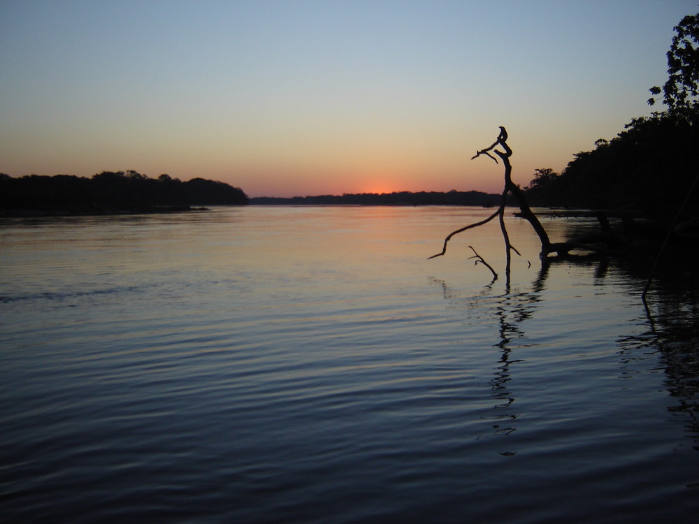 Sunset in the Amazon