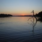 Sunset in the Amazon