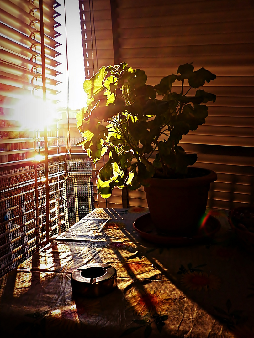 Sunset In The Ashtray