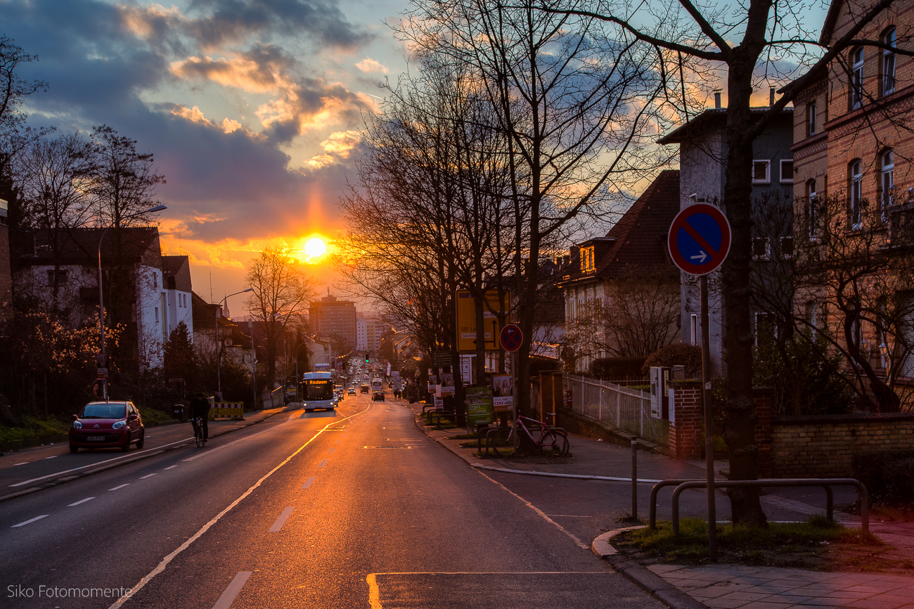 sunset in the city