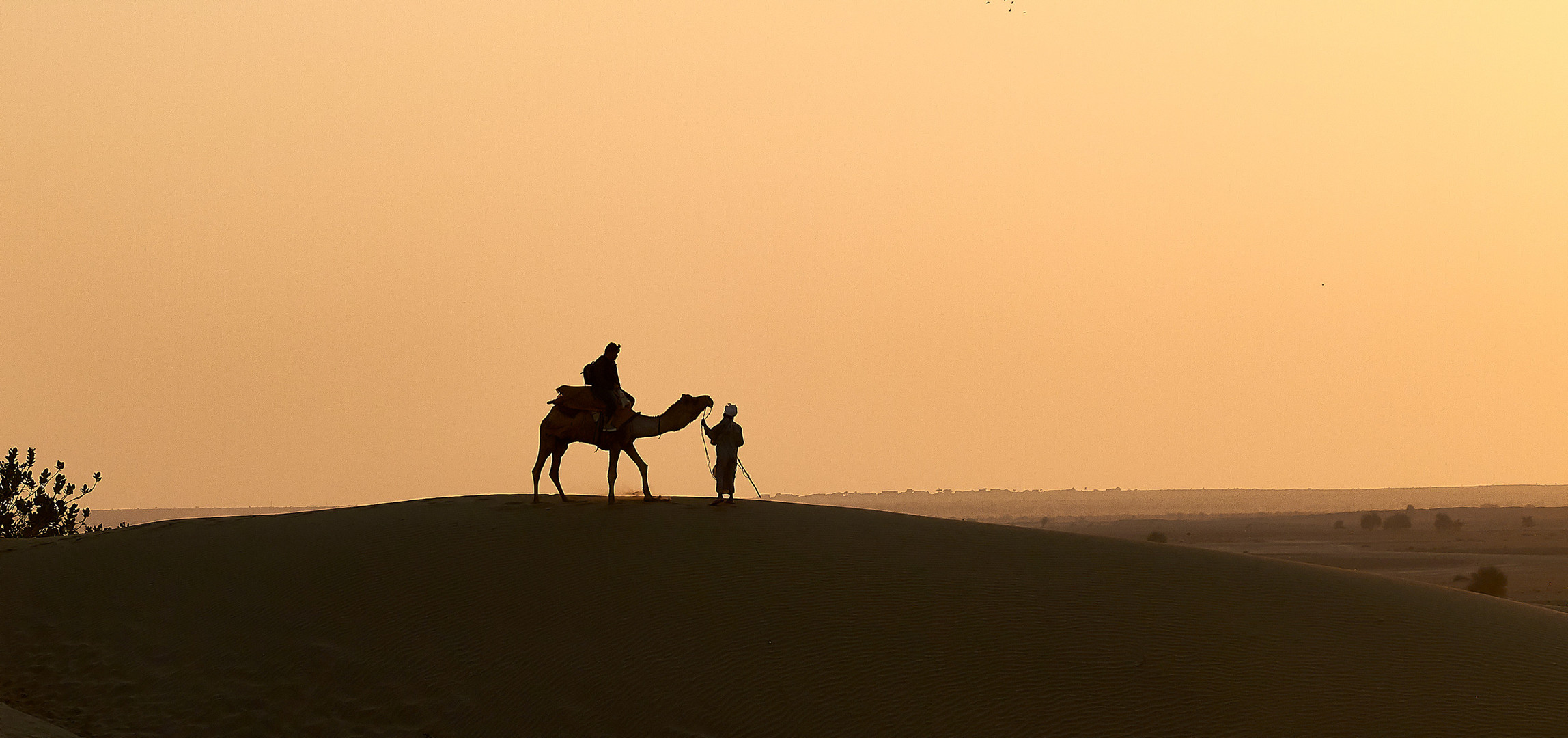 Sunset in the desert