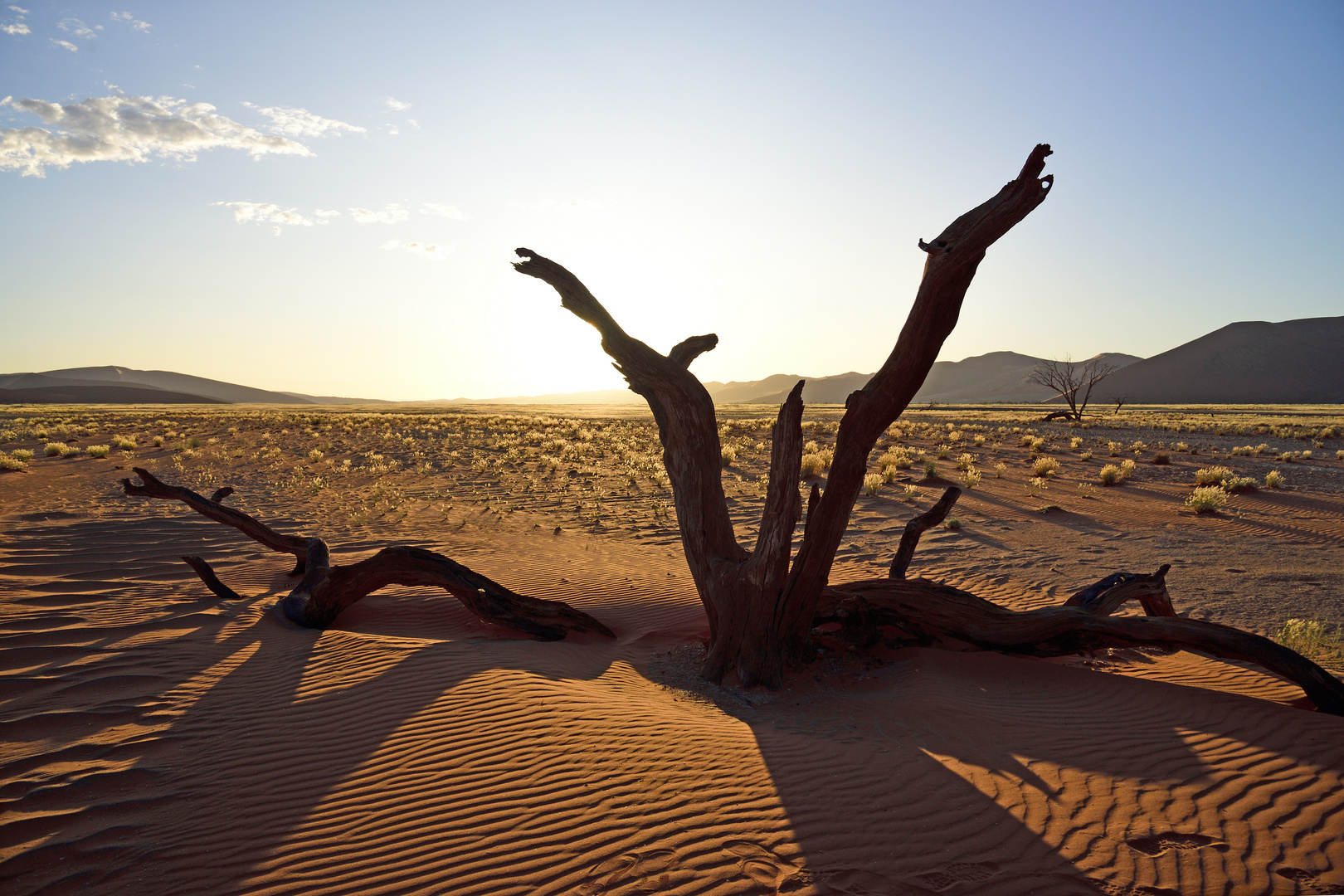 Sunset in the desert