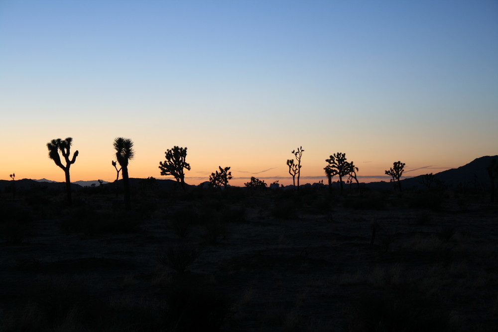 sunset in the desert