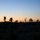 sunset in the desert