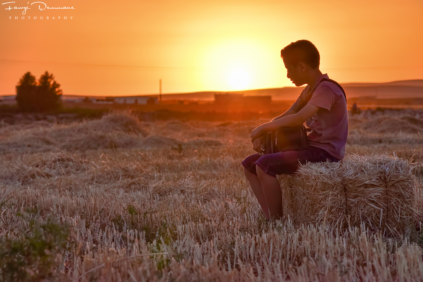 Sunset in the farm