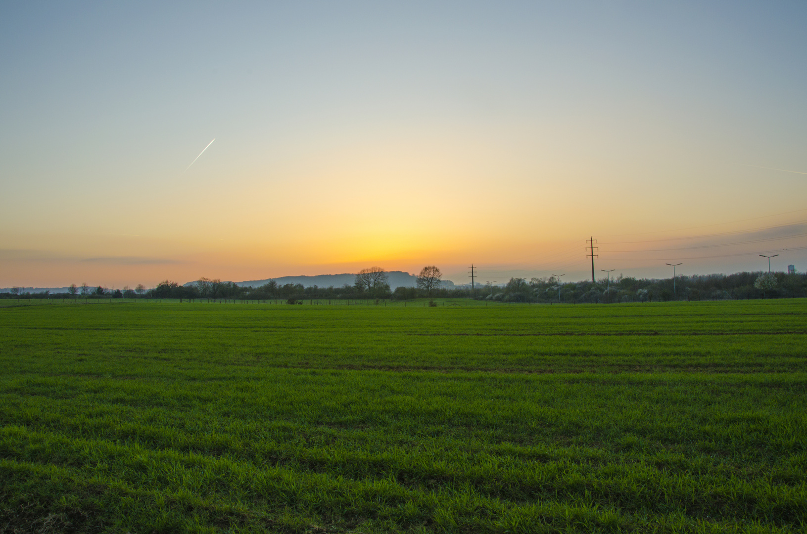 Sunset in the field