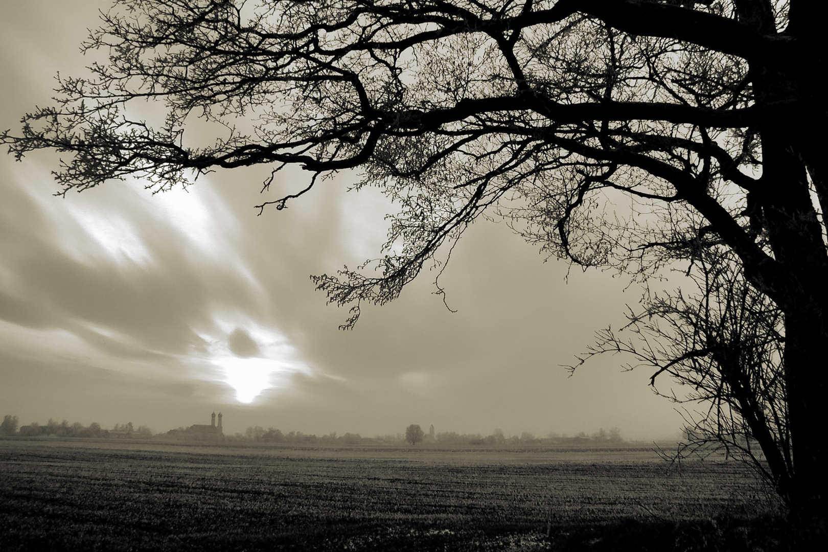 sunset in the fields