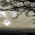 sunset in the fields