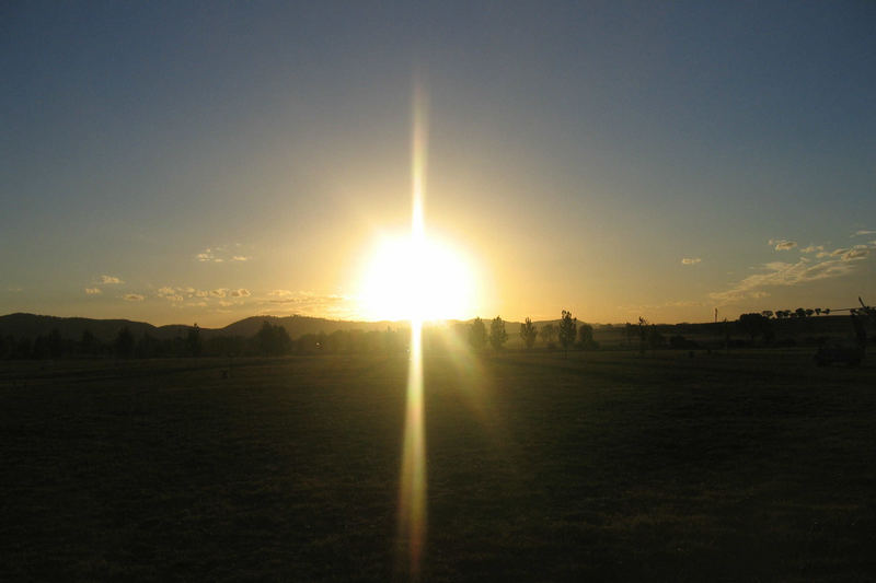 Sunset in the Garden