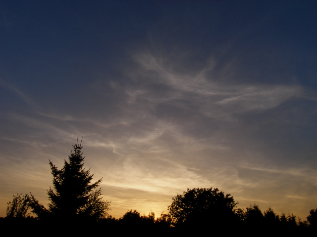 sunset in the garden