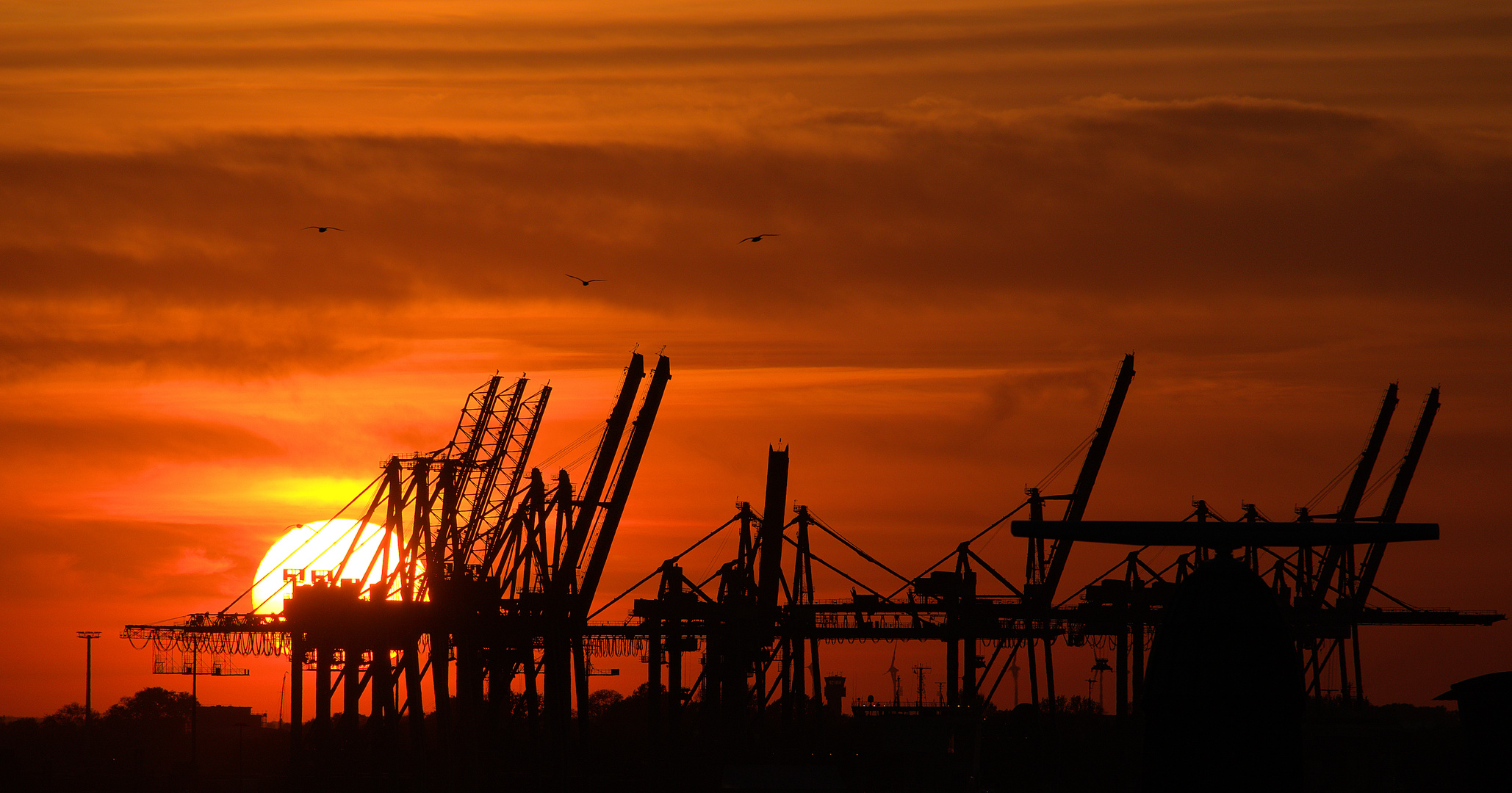 Sunset in the harbor