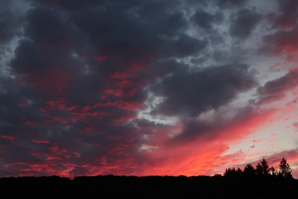 Sunset in the "Hunsrück" - image 2