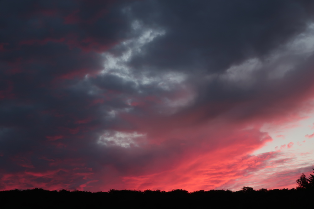 Sunset in the "Hunsrück" - image 4