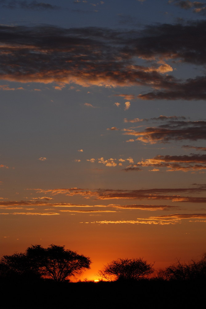 Sunset in the Kalahari