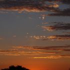 Sunset in the Kalahari