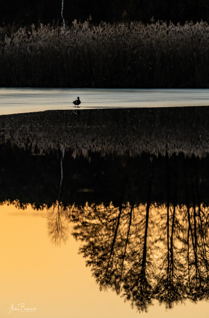 sunset in the mirror