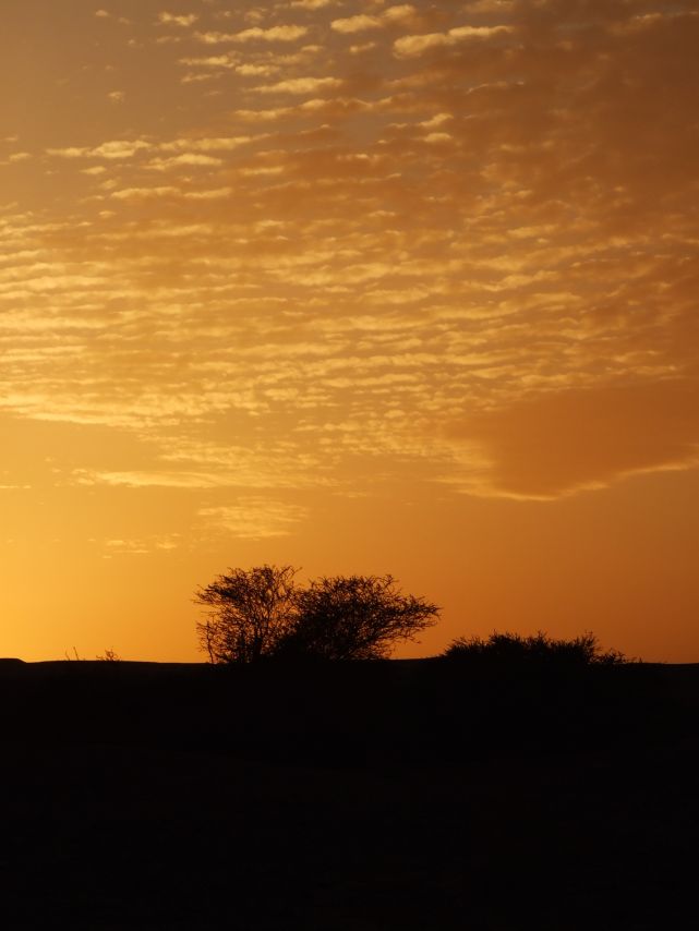 Sunset in the Negev, IL