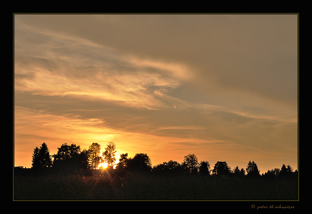 sunset in the neighborhood