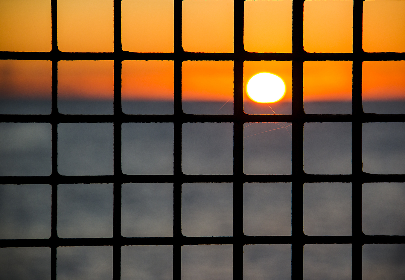 SunSet in The Net