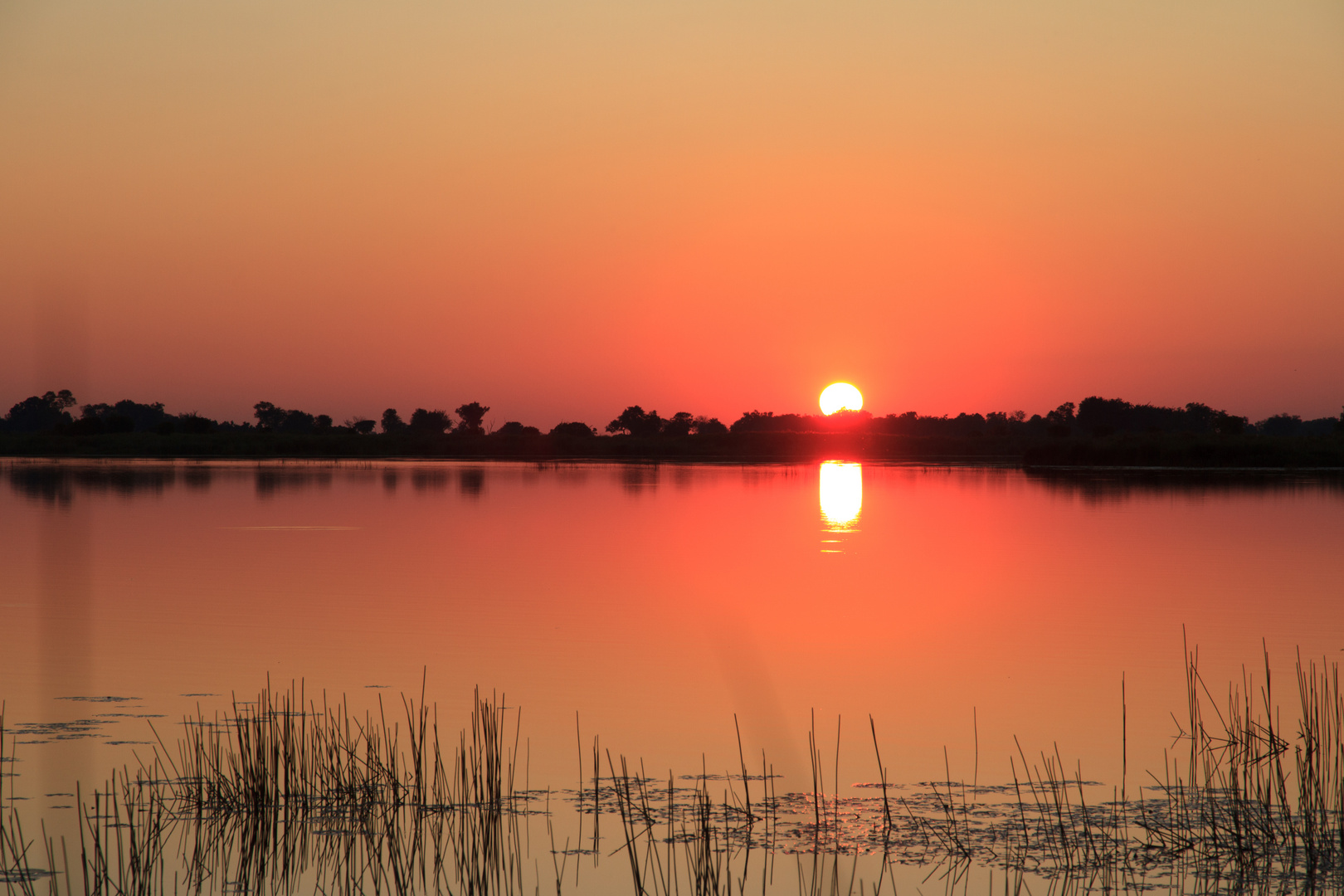 Sunset in the Okavango Delta