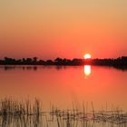 Sunset in the Okavango Delta