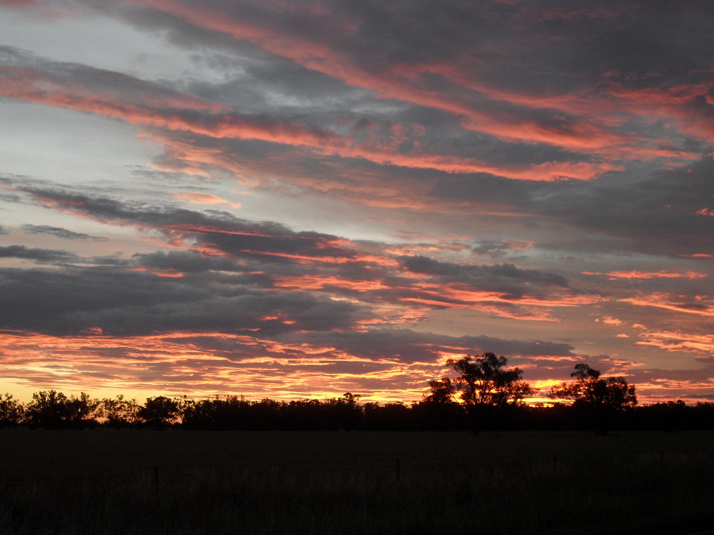 Sunset in the Outback