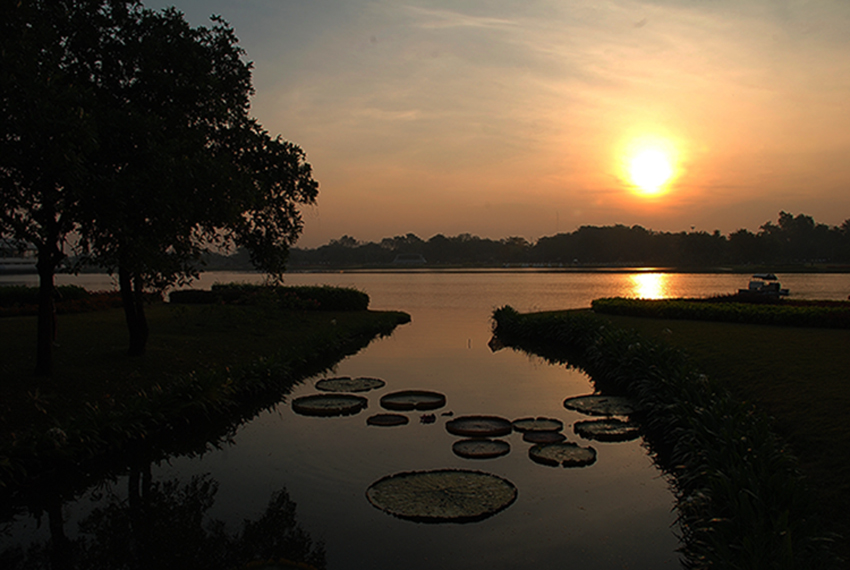 Sunset in the park.