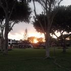 Sunset in the park