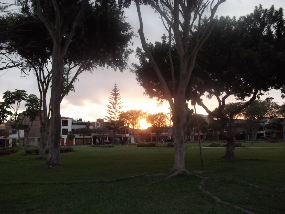 Sunset in the park