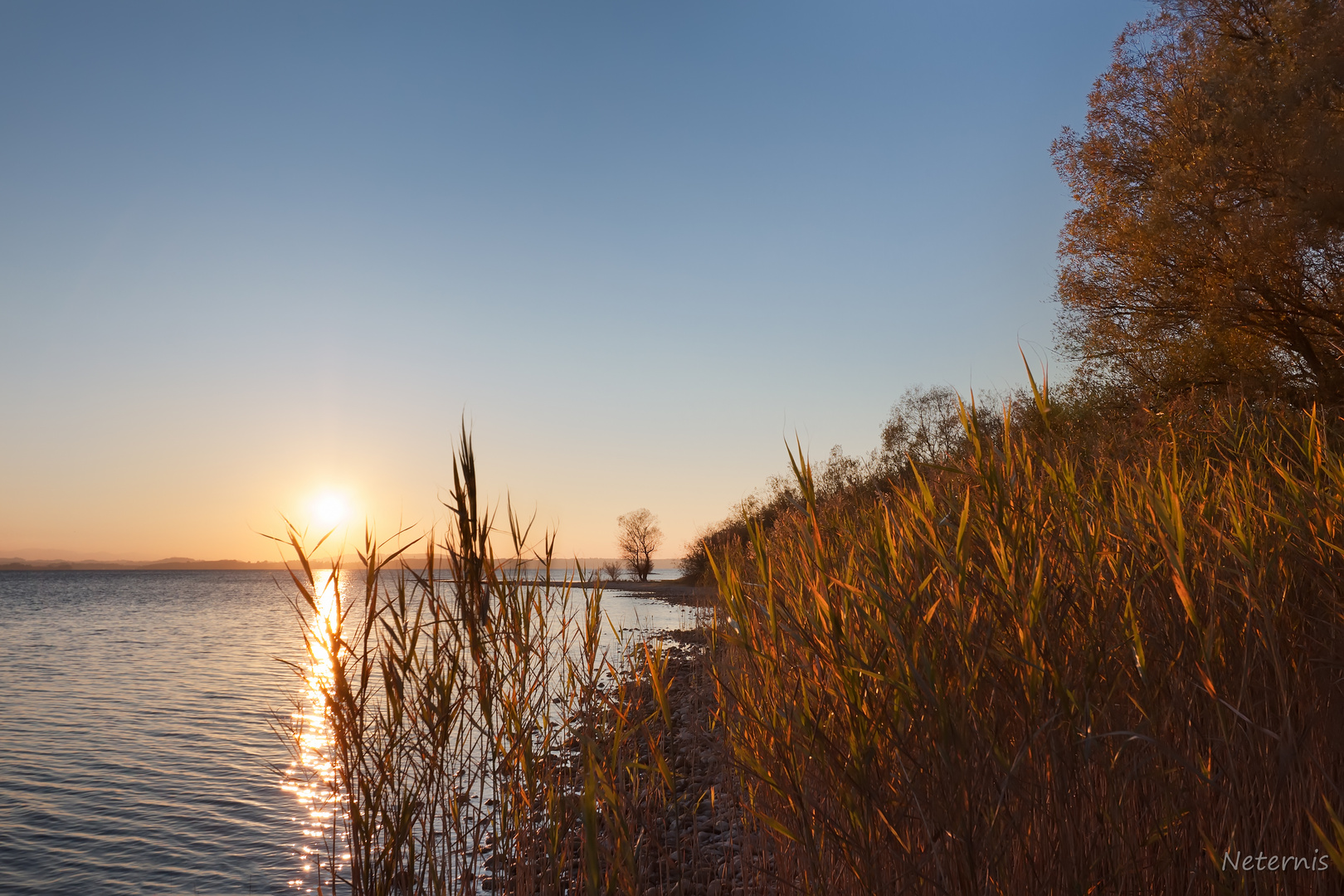 Sunset in the Reeds I