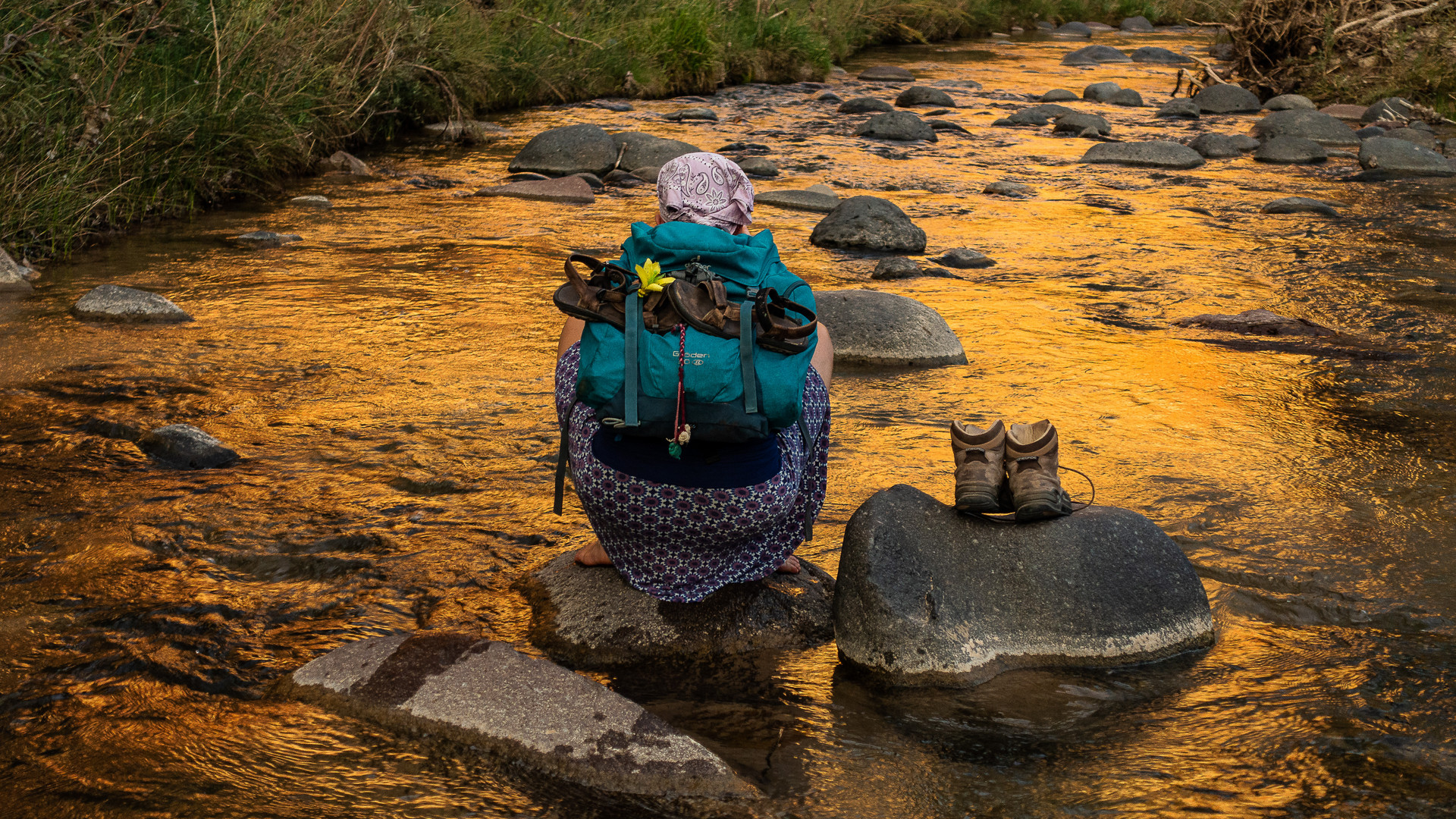 sunset in the river