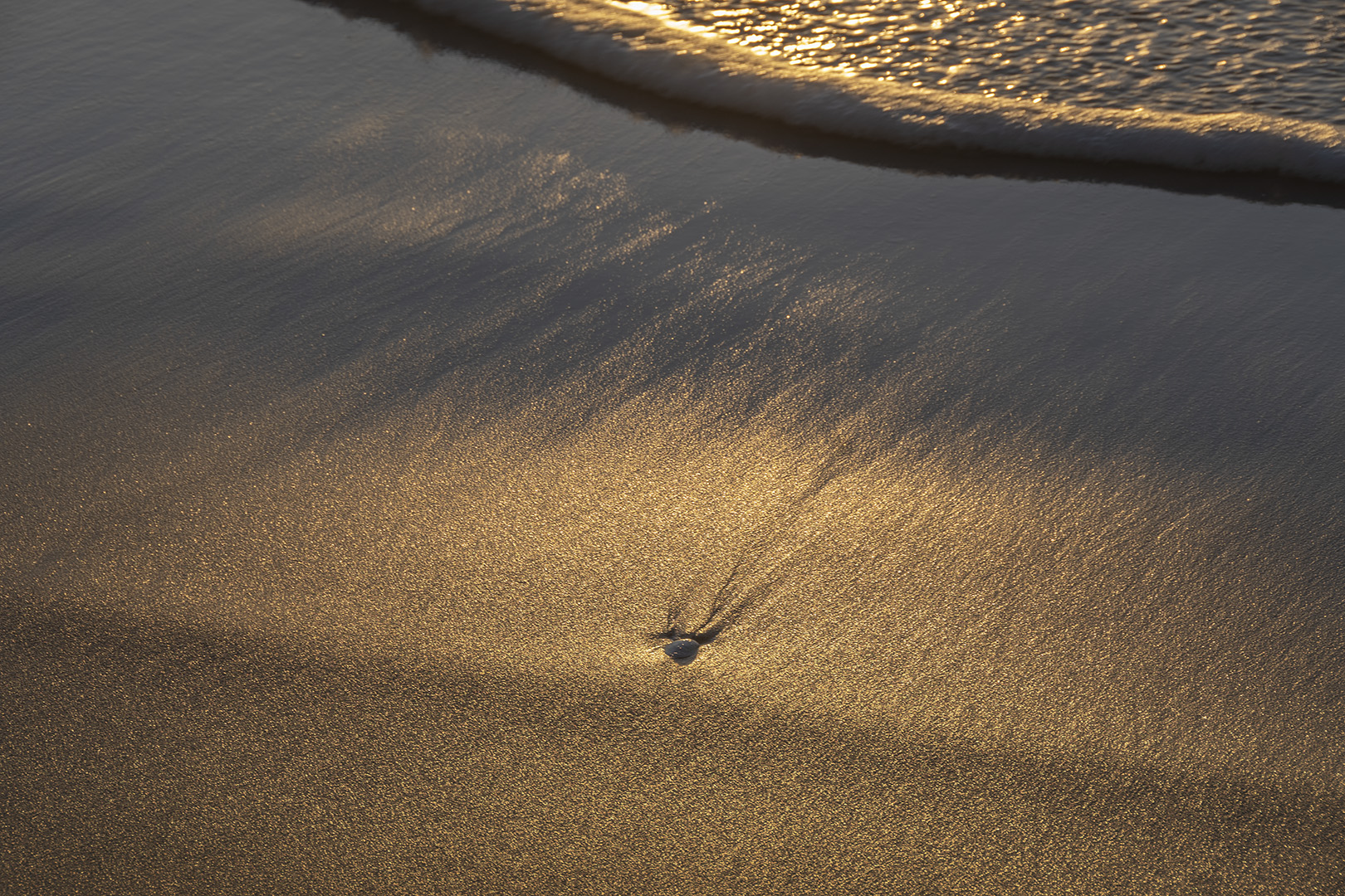 Sunset in the sand