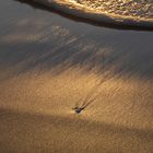 Sunset in the sand