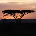 Sunset in the Serengeti (Tanzania)