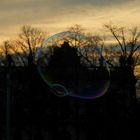 Sunset in the soap bubble