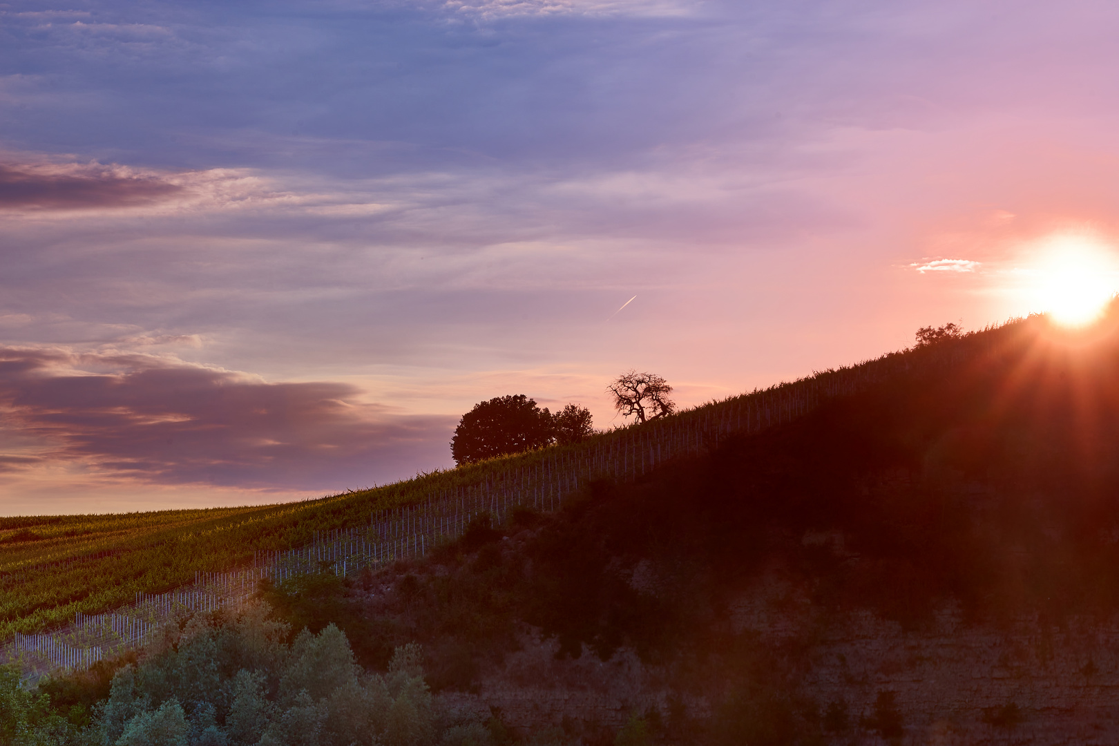 Sunset in the vineyards