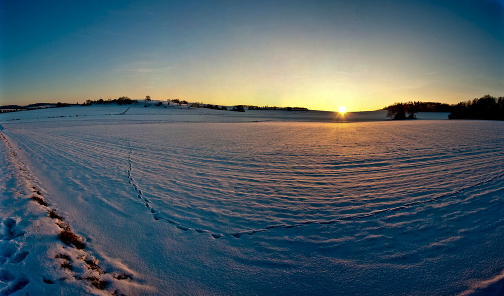 Sunset in the Vogelsberg