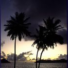 Sunset in Tobago